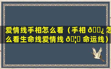 爱情线手相怎么看（手相 🌿 怎么看生命线爱情线 🦍 命运线）